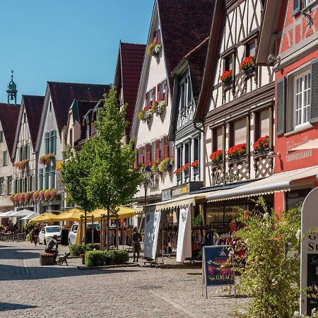 Cheerful Apartment Near City Centre Of Haslach Haslach im Kinzigtal Kültér fotó