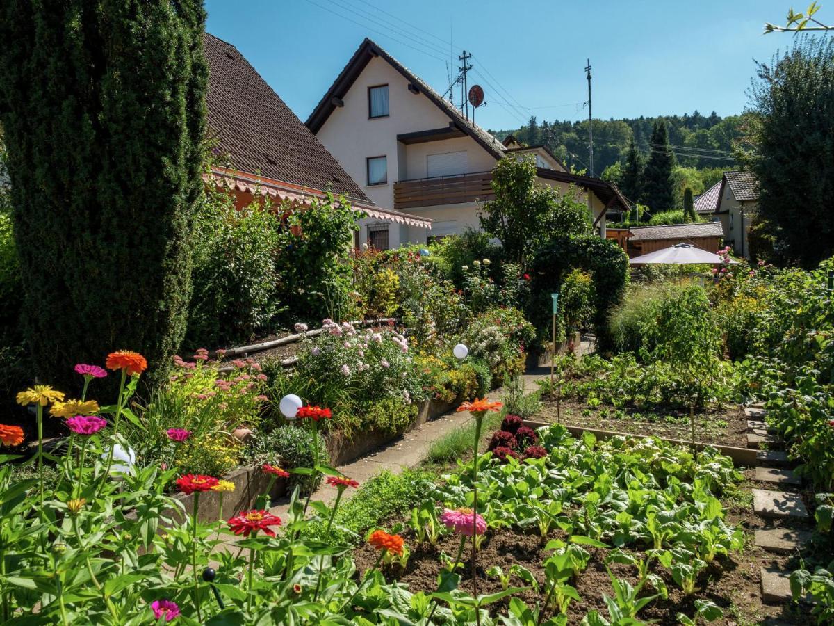 Cheerful Apartment Near City Centre Of Haslach Haslach im Kinzigtal Kültér fotó