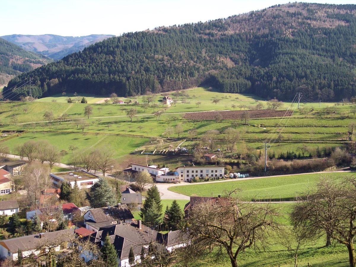 Cheerful Apartment Near City Centre Of Haslach Haslach im Kinzigtal Kültér fotó
